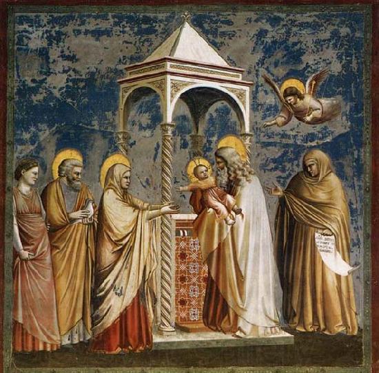 GIOTTO di Bondone Presentation of Christ at the Temple Norge oil painting art